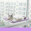 cat bed sucker hanging window