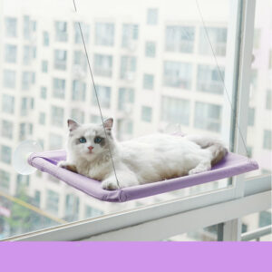 cat bed sucker hanging window