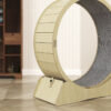 Cat Treadmill Running Wheel for Fitness - Image 2