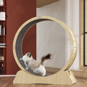 cat treadmill running wheel for fitness
