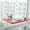 cat window bed with strong suction cups hanging sunny seat for indoor cats cozy space saving 1