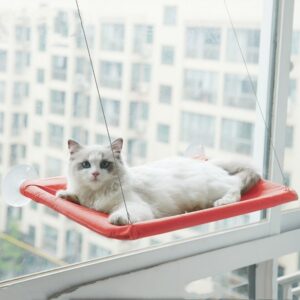 cat window bed with strong suction cups hanging sunny seat for indoor cats cozy space saving 1