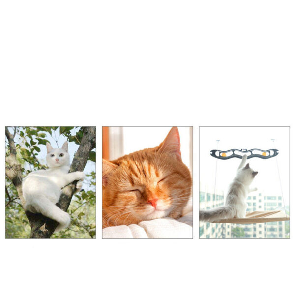 cat window bed with strong suction cups hanging sunny seat for indoor cats cozy space saving 3