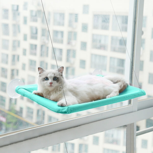 cat window bed with strong suction cups hanging sunny seat for indoor cats cozy space saving 5