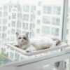 cat window bed with strong suction cups hanging sunny seat for indoor cats cozy space saving 6
