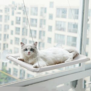 cat window bed with strong suction cups hanging sunny seat for indoor cats cozy space saving 6
