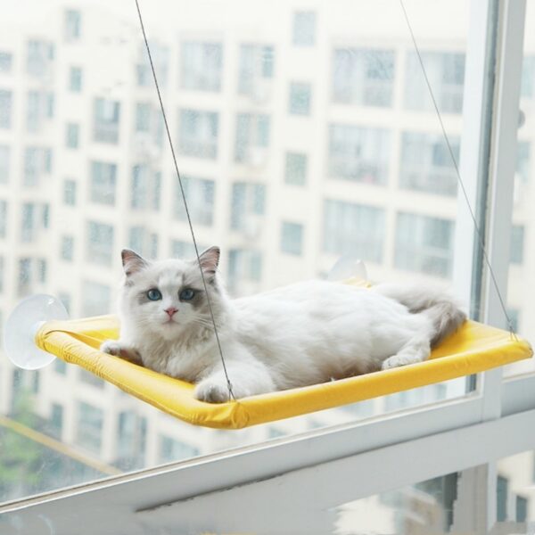 Cat Bed Sucker Hanging Window - Image 8