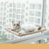 cat window bed with strong suction cups hanging sunny seat for indoor cats cozy space saving 9