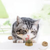 catnip balls rotary cat treats molar teeth cleaning natural dental care 2