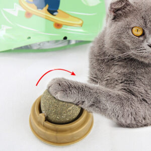 catnip balls rotary cat treats molar teeth cleaning natural dental care 6
