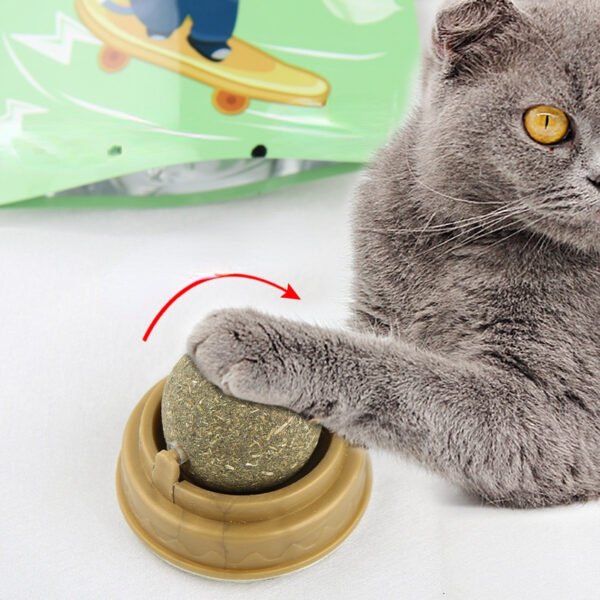 catnip balls rotary cat treats molar teeth cleaning natural dental care 6
