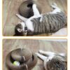 corrugated foldable cat paper nest scratch bed lightweight portable durable indoor pet furniture recyclable eco 3