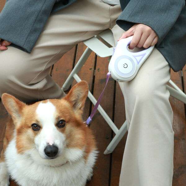 Dog Retractable Leash Rope For Small Medium Dogs - Image 2