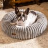 mewoofun donut cat bed washable round calming indoor pet bed for kittens small dogs soft cushion grey 3