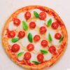 new style cat dog bed pizza shape mat blanket set cozy soft sleeping area pets 2