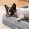 orthopedic dog bed large egg foam pet sofa waterproof washable cover grey 40x30 comfortable durable 4
