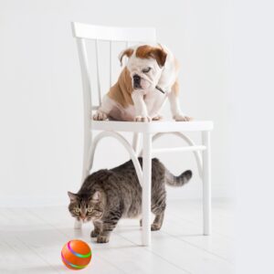 pet cat self rotating ball toy usb charging smart interactive auto moving light up wicked ball indoor play 4