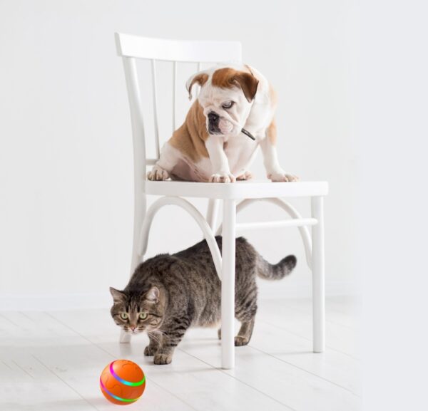 pet cat self rotating ball toy usb charging smart interactive auto moving light up wicked ball indoor play 4
