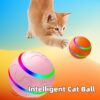 Pet New Cat Wicked Self Rotating Ball Toy USB Charging