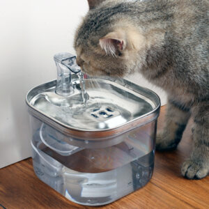 stainless steel pet water fountain automatic circulating water dispenser for cats dogs quiet hygienic 8