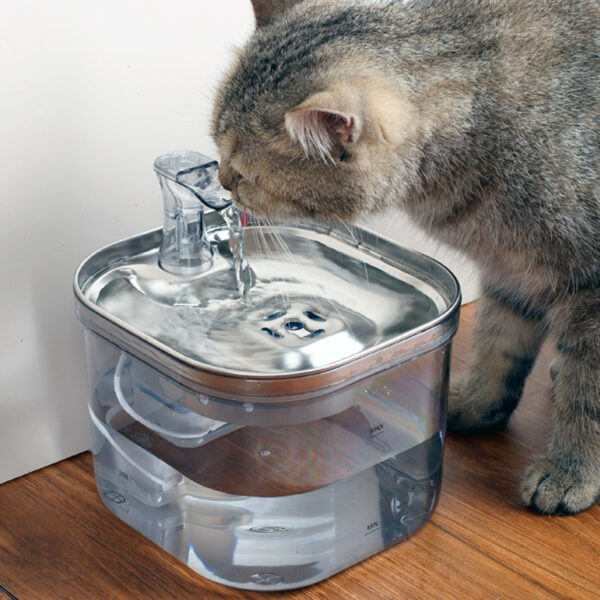stainless steel pet water fountain automatic circulating water dispenser for cats dogs quiet hygienic 8