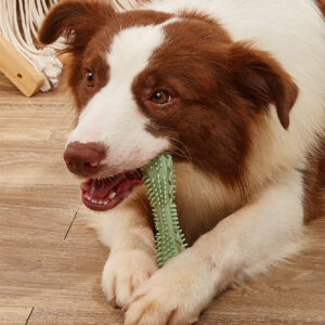 cleanchew dental chew toys for dogs