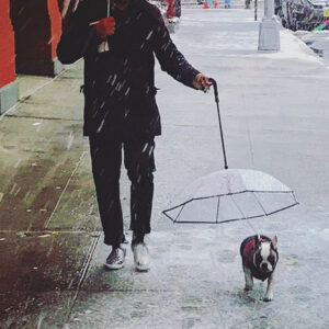 clearpaw umbrella transparent dog umbrella with traction chain rain protection for pets 7