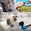 hydro foldable travel bottle portable dog water dispenser 110
