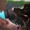 HydraPaw™ Foldable Travel Bottle – Portable Dog Water Dispenser - Image 5