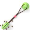 ‍ PawGrip Play™ – Suction Cup Toy for Active Pets - Image 3