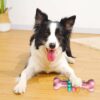 toughbite bone indestructible chew toy for dogs durable dog toy safe teeth cleaning chewer 5
